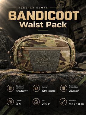 Поясная сумка BANDICOOT Waist Pack 7224